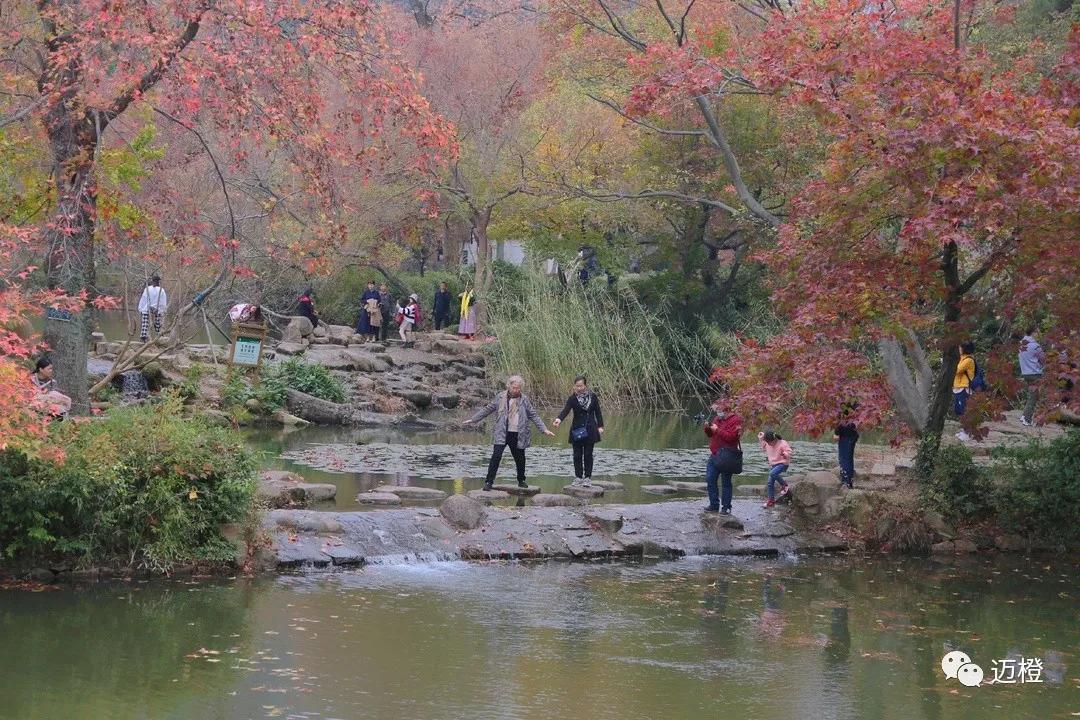 天平山徒步，领略范仲淹的家国情怀，邂逅枫林尽染美如画！